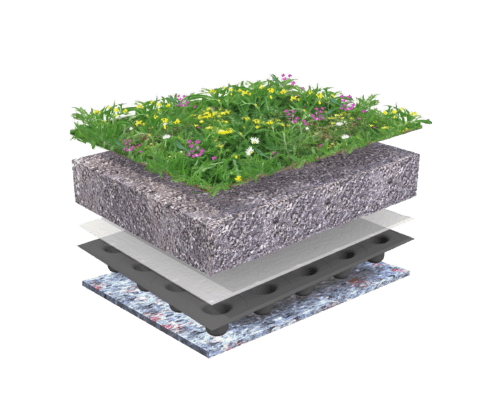 Systeemopbouw Biodiversdak