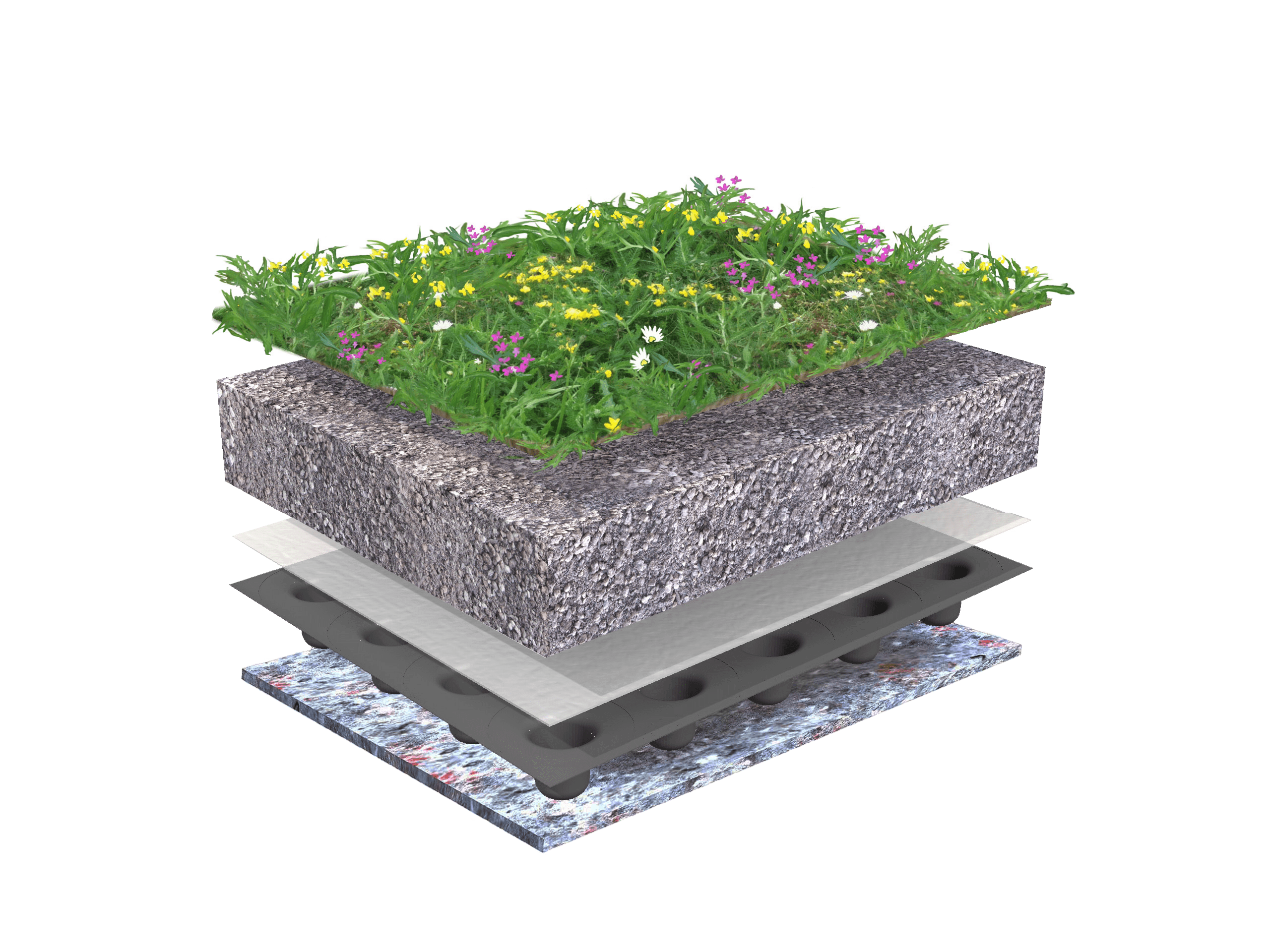 Systeemopbouw Biodiversdak